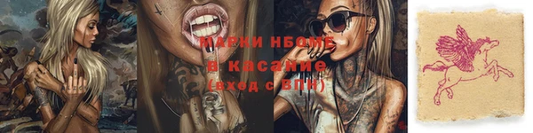 шишки Богородицк