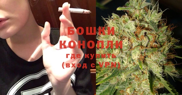 соль ск Богданович