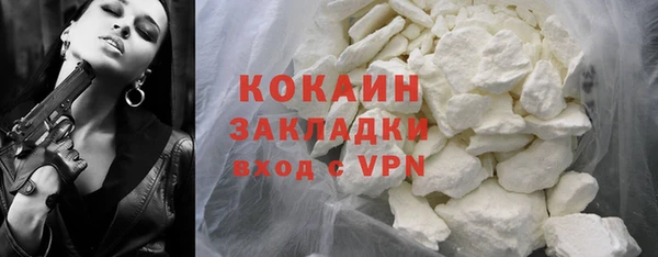 шишки Богородицк