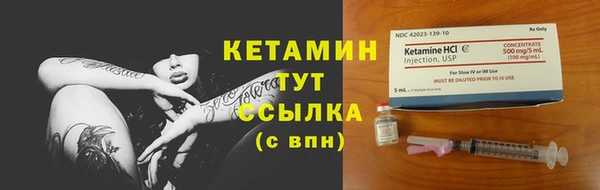 шишки Богородицк