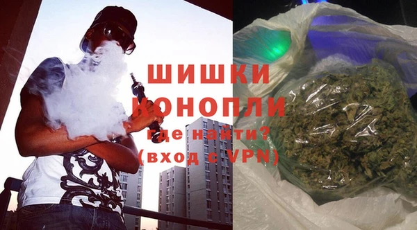 шишки Богородицк