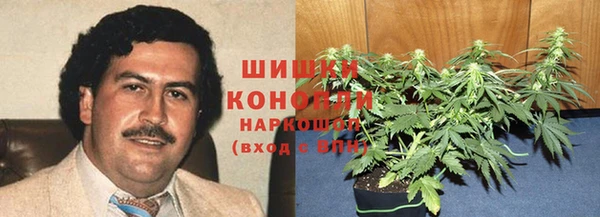 мдпв Бугульма
