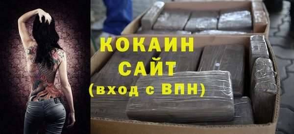 хмурый Бородино