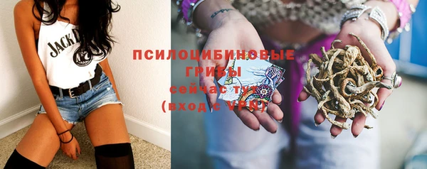 соль ск Богданович