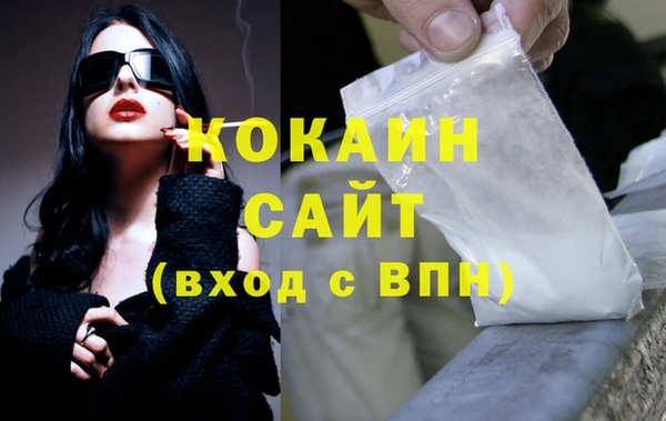 хмурый Бородино
