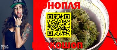 прущие крисы Аргун