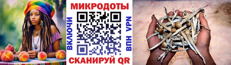 Галлюциногенные грибы ЛСД  где можно купить наркотик  Верхний Уфалей 