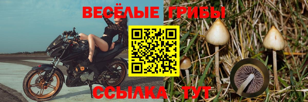 Галлюциногенные грибы мухоморы  Вход с VPN  Псилоцибиновые грибы GOLDEN TEACHER  Верхний Уфалей 